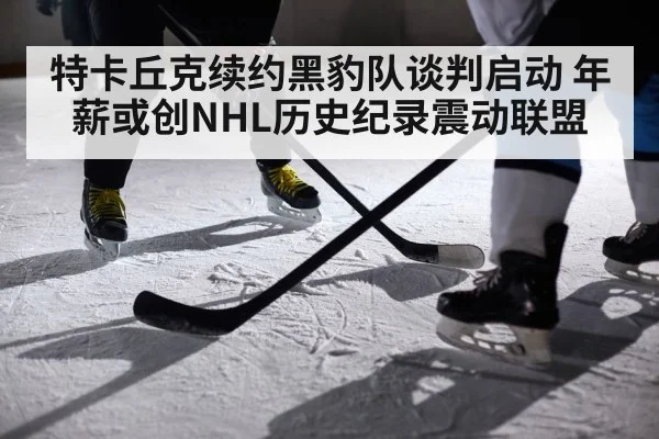 特卡丘克续约黑豹队谈判启动 年薪或创NHL历史纪录震动联盟